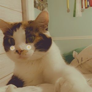 Meet your Posher, Carlee